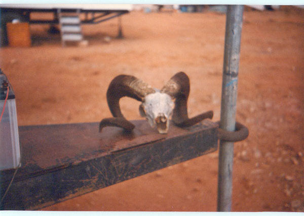 2005_11_05_17_12_07_edited-2