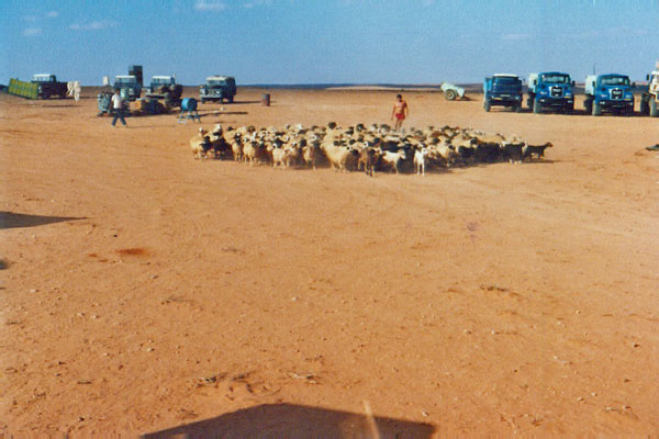 2005_11_13_01_16_28_edited-3